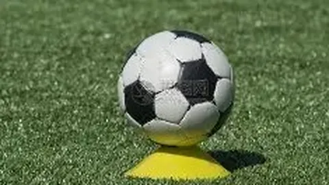 双十一晚会收视榜单揭晓 江苏卫视夺魁